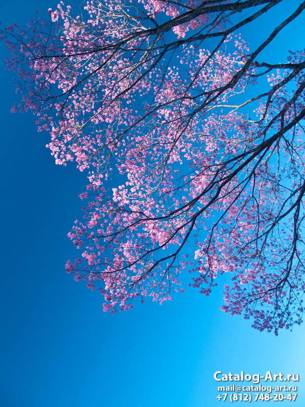 Blossom tree 108